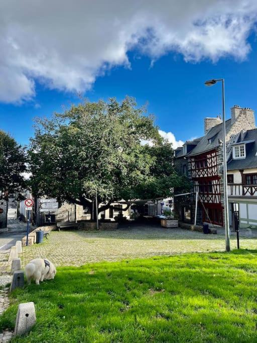 Le Cottage Breton, Hypercentre Historique Stb サン・ブリュー エクステリア 写真